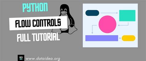 Image result for Control Flow Visuals Python