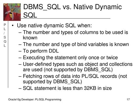 Toradh íomhá ar Dynamic SQL in DBMS