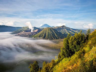 Image result for Java Indonesian