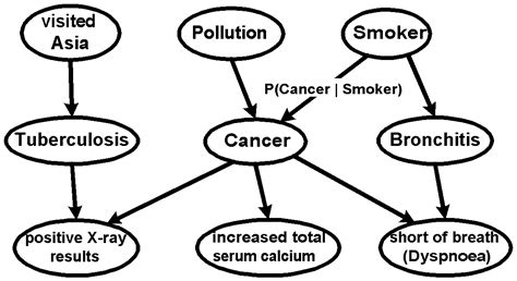 Image result for Probabilistic Causal Model