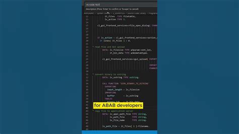 Image result for ABAP vs Code