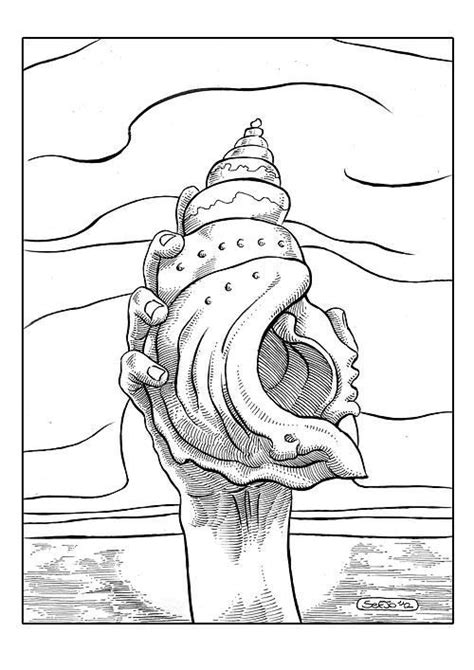 Conch Shell Drawing Lotf に対する画像結果