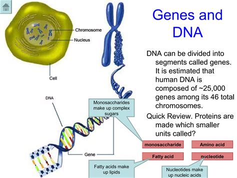DNA Tutorial に対する画像結果