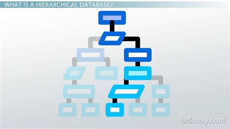 Image result for Example of Hierarchical Database