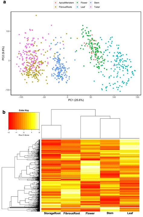 Toradh íomhá ar Variance Visualization