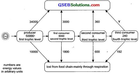 Image result for Our Environment Class 10 Flow Charts