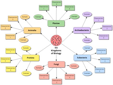 Classification Mind Map Template కోసం చిత్ర ఫలితం