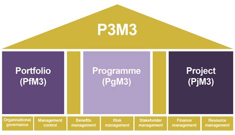 Image result for P3M Project Management Framework