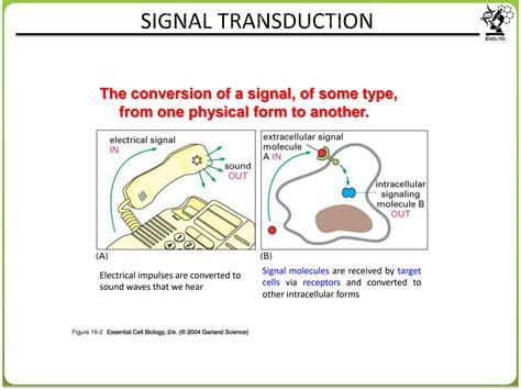 Signalling Types に対する画像結果