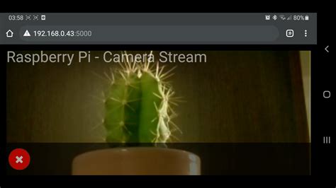 Image result for Remote Viewing Projects