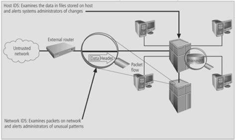 Image result for Detection Systems D5932x