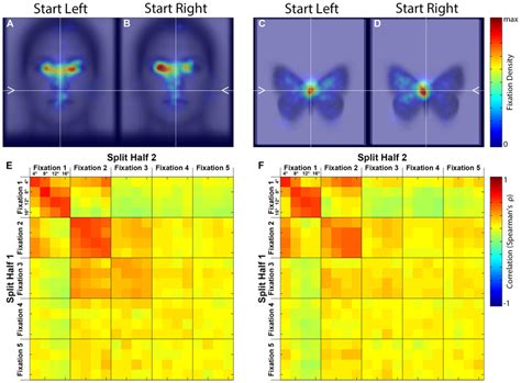 Image result for Spatial Density Plot