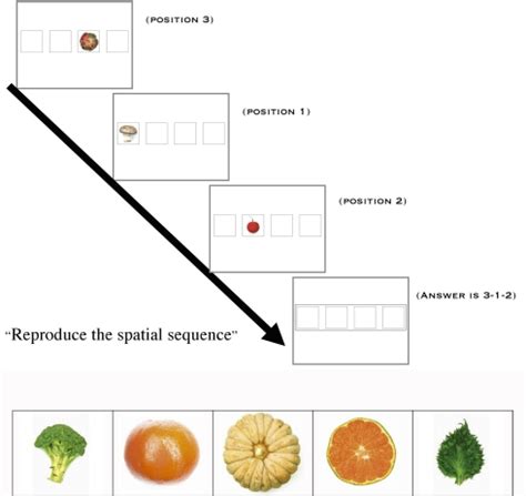 Image result for Working Memory Task