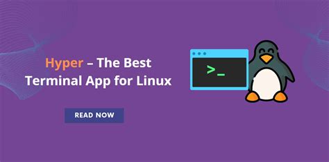 Toradh íomhá ar Terminal Hyper Setting