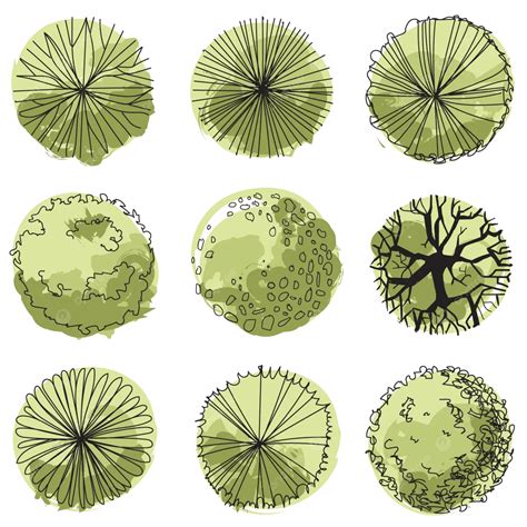 Vector Top View Trees Plans Tree Plan PNG Images CleanPNG