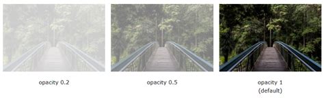How to Creat Transparency in HTML IMG に対する画像結果