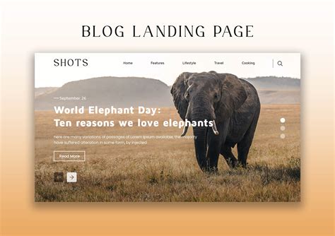 Image result for Blog Editor UI Design