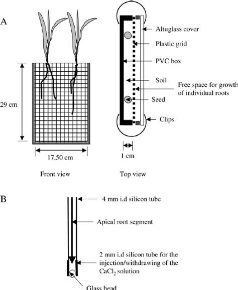 Image result for Root Box