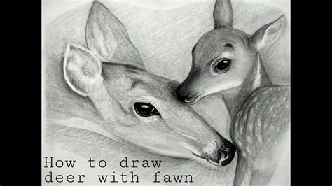 Toradh íomhá ar Fawn Face Drawing