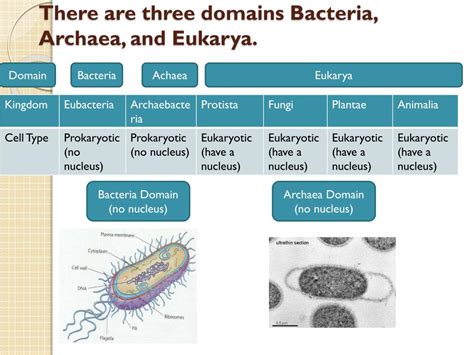 Image result for Classification Levels Template