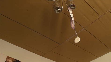 Cardboard Insulation Panels に対する画像結果