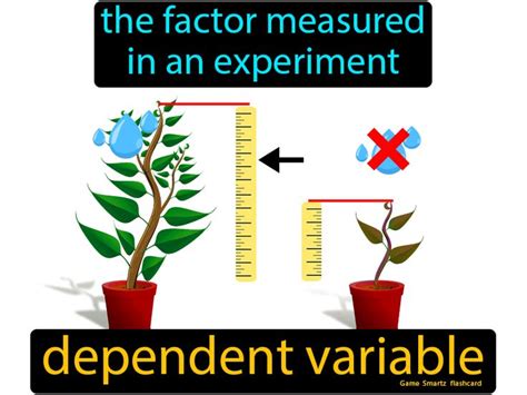 Dependent Variable Non Example Picture Math に対する画像結果