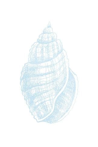 Image result for Blue Line Drawing Print Shell