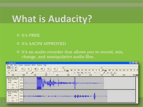 Image result for Audacity Antonym