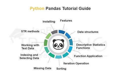 Image result for Pandas in Python and More Library