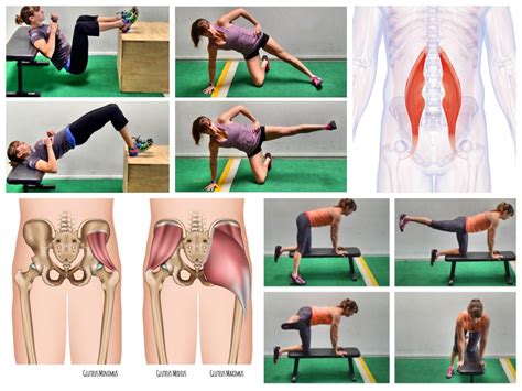 Image result for Calisthenics Glute Exercises