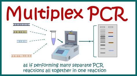 Multiplex PCR に対する画像結果