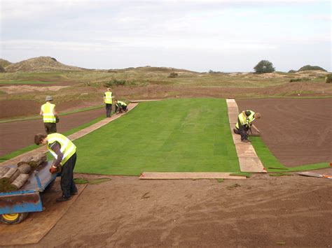 Turfing On a Golf Course に対する画像結果