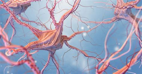 Image result for Biocomputer