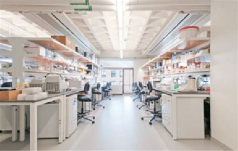 Image result for Lab Lighting Layout