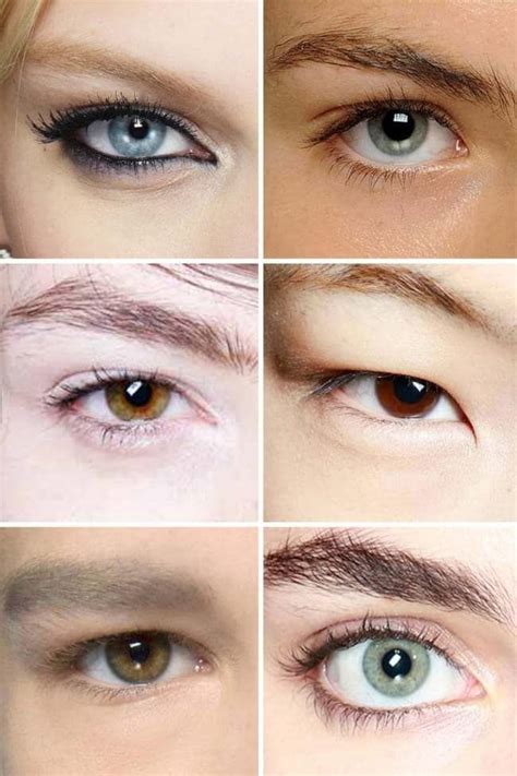 Image result for Eye Contour Skin Types