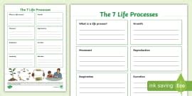 Importance of Life Processes Worksheet എന്നതിനുള്ള ഇമേജ് ഫലം