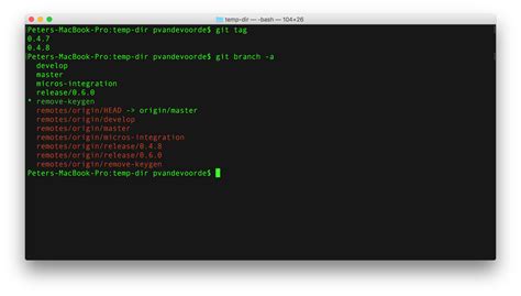 Image result for How to Move a Local Git Repository