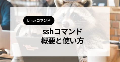 Image result for How to Check SSH in Command Prompt