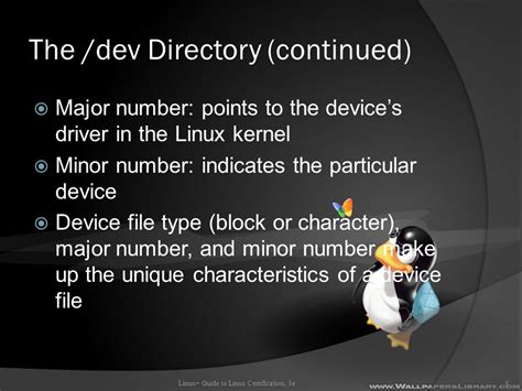 Image result for Dev Directory in Linux
