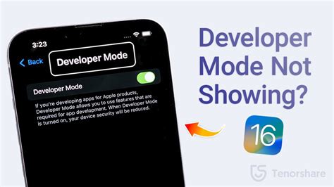 Image result for Developer Mode iOS 17