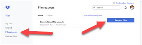 Image result for Dropbox Request Files