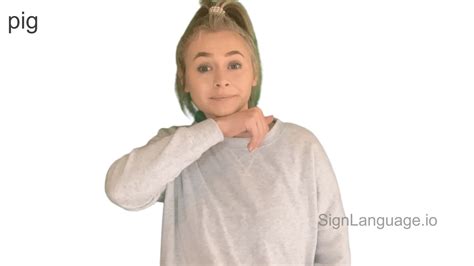Afbeeldingsresultaten voor ASL Pig