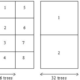 Toradh íomhá ar Randomized Complete Block Design Layout