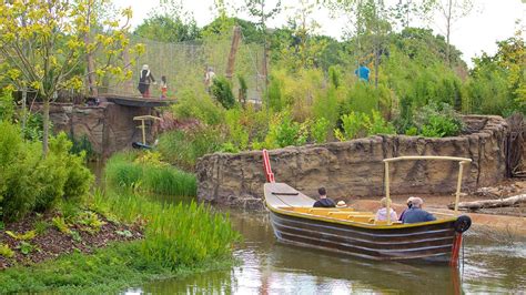 Chester Zoo Live Stream に対する画像結果