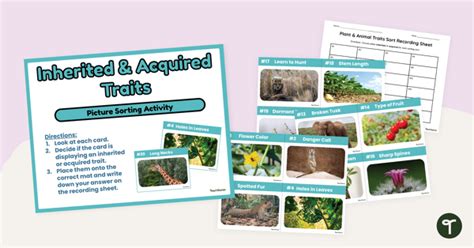 Afbeeldingsresultaten voor Learning Activity of Simple Inheritance