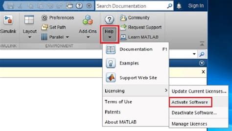 Example for Activation Key of MATLAB に対する画像結果