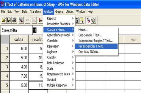 Image result for How to Do a Paired T-Test in SPSS