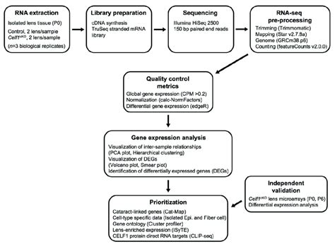 Toradh íomhá ar Control Flow Statement Flowchart Sequencing