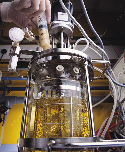 Image result for E. Coli Fermentor