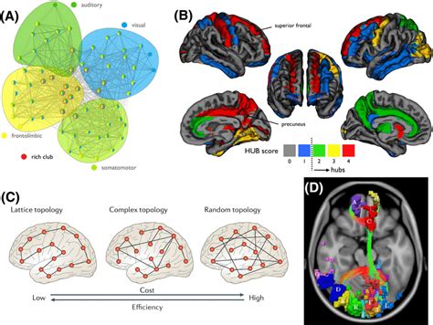 Image result for Brain Network Graph Convolutional Networks